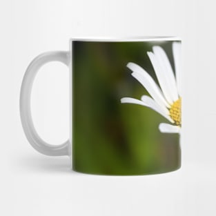 Single Daisy Mug